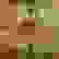 item-77714209=4