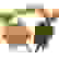 item-80890582=7