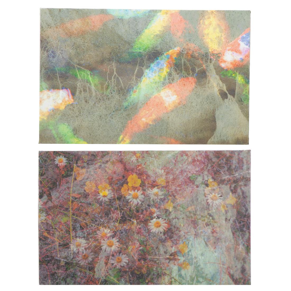 EJ Montgomery. Pair of Abstract Botanicals (1 of 5)