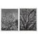 A. Aubrey Bodine. Two Unframed Photographs