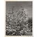 A. Aubrey Bodine. Two Unframed Photographs - 2