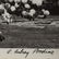 A. Aubrey Bodine. Two Unframed Photographs - 3
