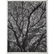 A. Aubrey Bodine. Two Unframed Photographs - 5