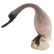 Pair of Cenedese Murano Glass Spoonbill Birds - 9