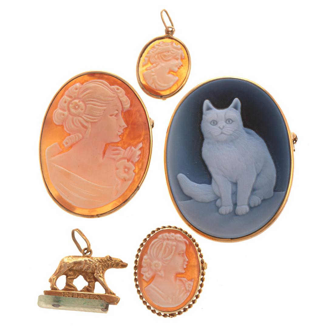 A Collection of Cameo Pin/Pendants in Gold (1 of 7)