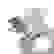 item-84524321=6