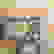 item-86266206=3