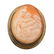 A Collection of Cameos & Hand Painted Brooches - 6