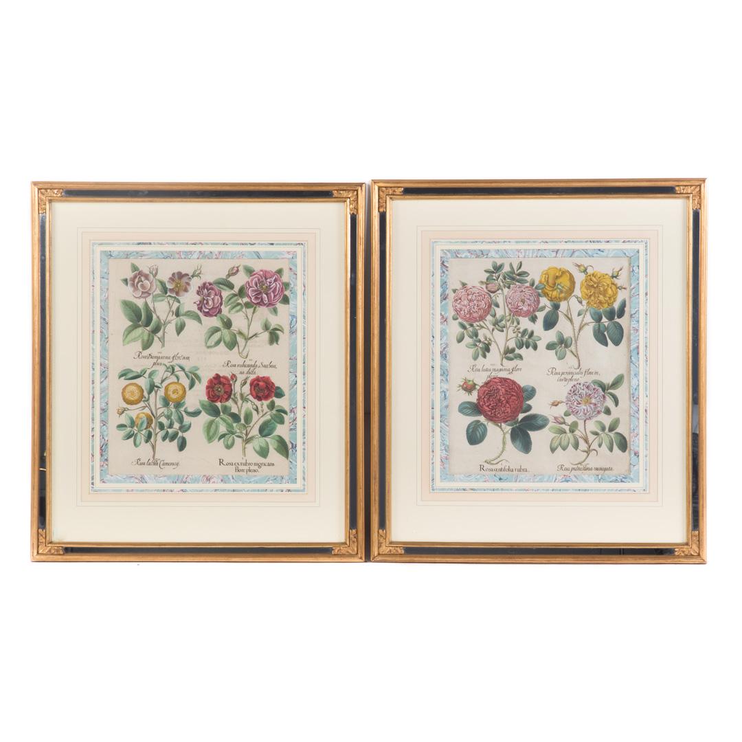 Basilius Besler. Two Framed Floral Engravings (1 of 4)