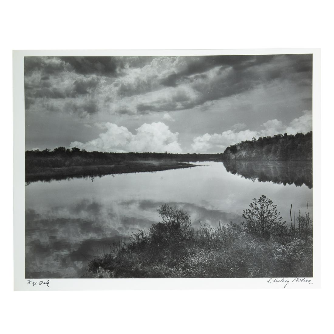 A. Aubrey Bodine. "Wye Oak," photograph: (American, 1906-1970). Gelatin silver print, signed "A. Aubrey Bodine" lr, titled ll, photographer stamp on verso, 11 x 14 in., unframed.