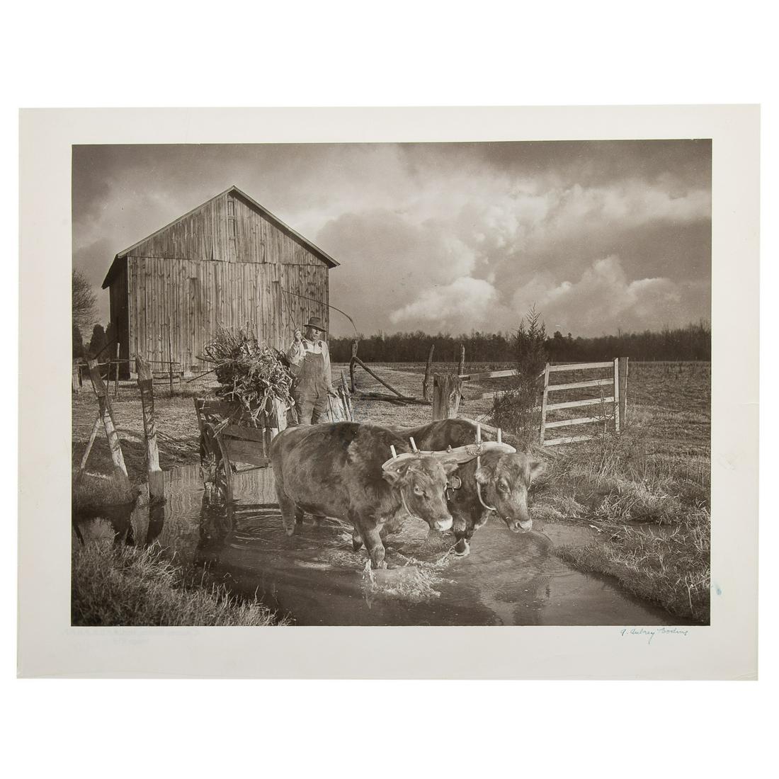 A. Aubrey Bodine. "Farmer Driving Oxen": (American, 1906-1970). Gelatin silver print, signed "A. Aubrey Bodine" lr, photographer stamp on verso, 11 x 14 in., unframed.