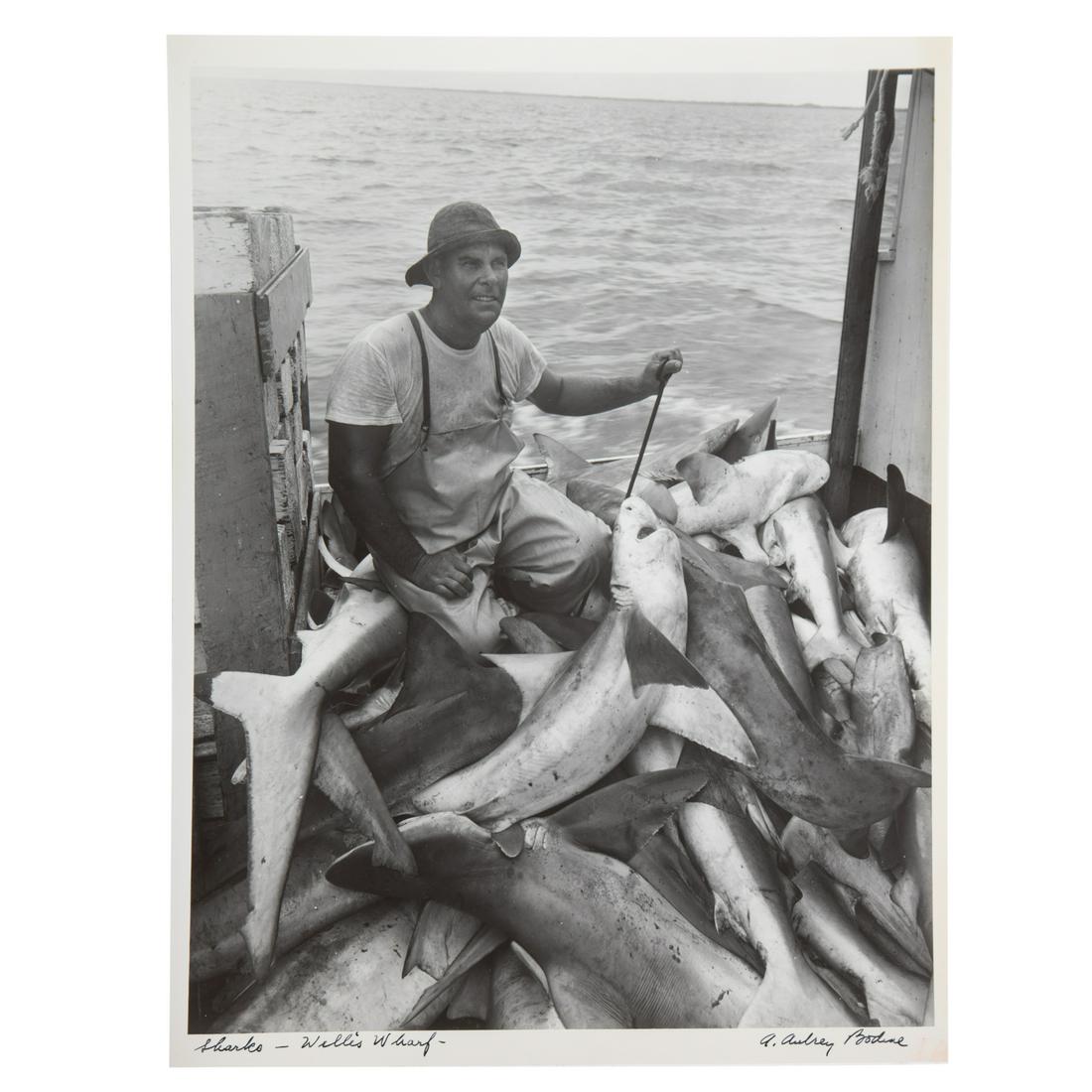 A. Aubrey Bodine. "Sharks-Willis Wharf": (American, 1906-1970). Gelatin silver print, signed "A. Aubrey Bodine" lr, titled ll, photographer stamp on verso, 14 x 11 in., unframed.