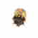 item-121028281=6