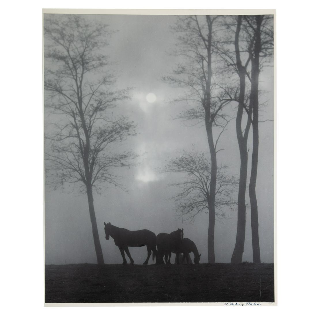 A. Aubrey Bodine. "Early Morning Mist": (American, 1906-1970). Gelatin silver print, signed "A. Aubrey Bodine" lr, photographer stamp on verso, 14 x 11 in., unframed.