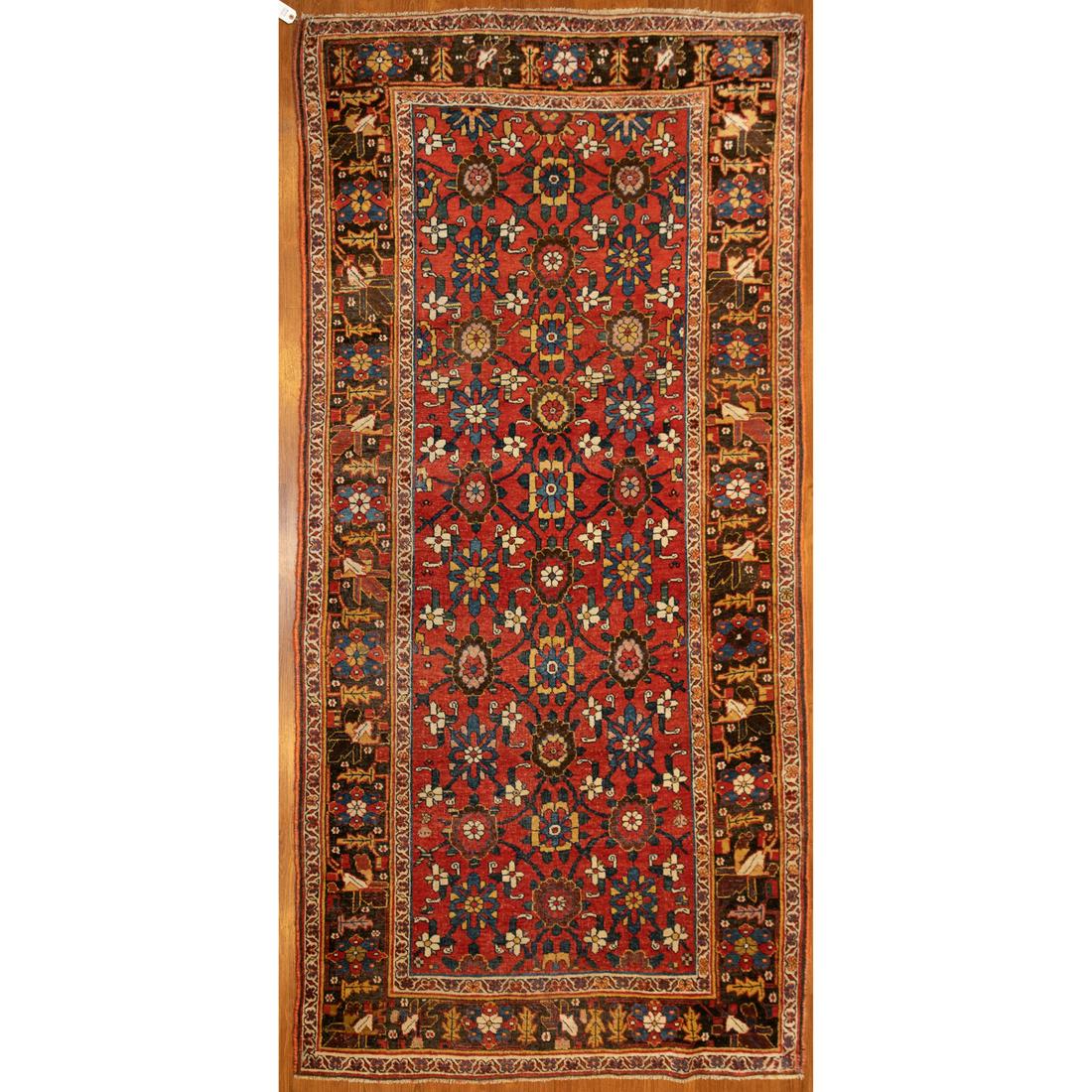 Antique Bijar Rug, Persia, 4.6 x 9.3 (1 of 5)