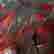 item-136463430=8