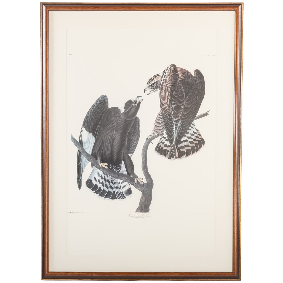 John James Audubon. "Rough-legged Falcon," lithograph (1 of 5)