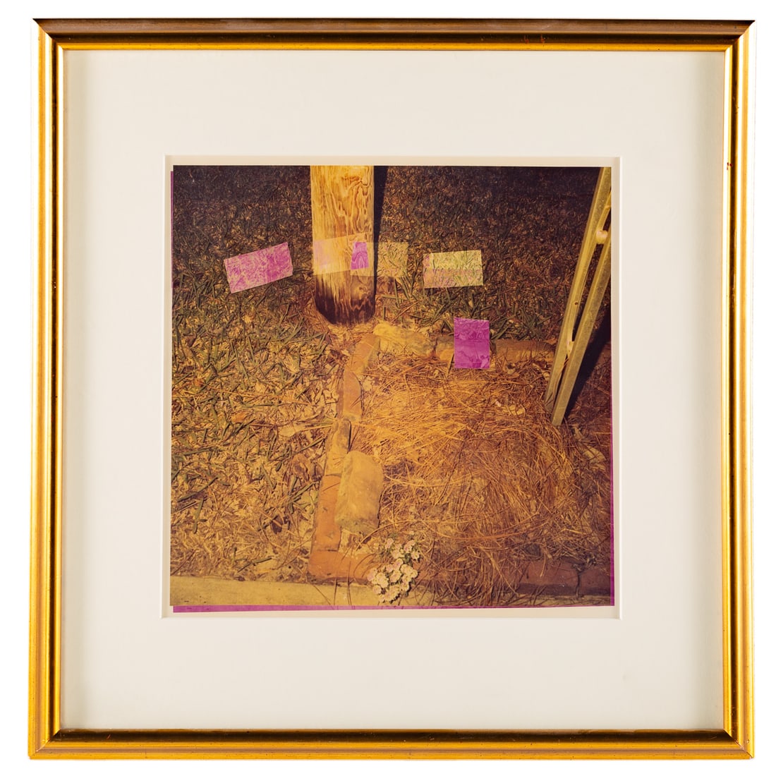 David Yager. Color Experiment, photograph (1 of 4)