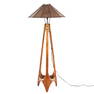 Peter Lik PNG Floor Lamp, by Pacific Green