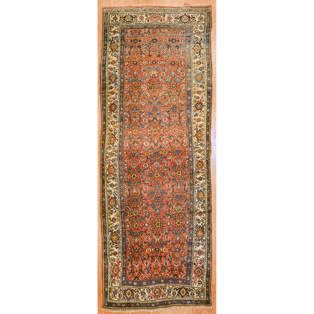 Antique Bijar Runner, Persia, 3.11 x 10.7 (1 of 6)