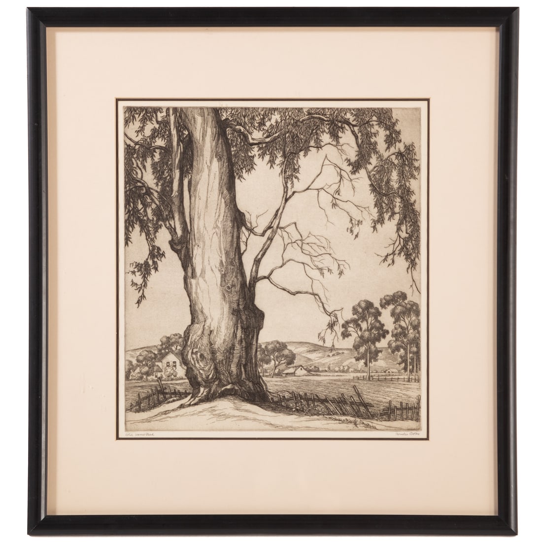 Cornelis J. Botke. "Old Homestead," etching (1 of 4)