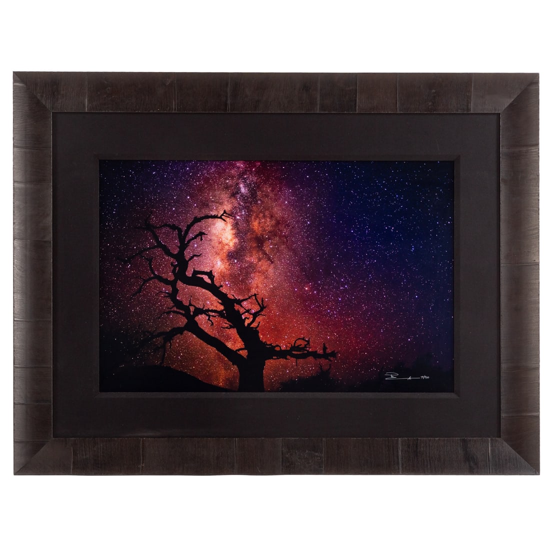 Peter Lik. "Tree of the Universe," photograph (1 of 5)