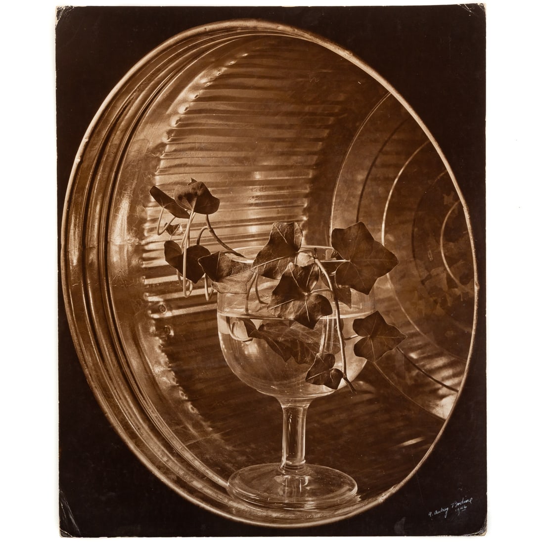 A. Aubrey Bodine. "Garbage Can and Ivy," photograph (1 of 4)