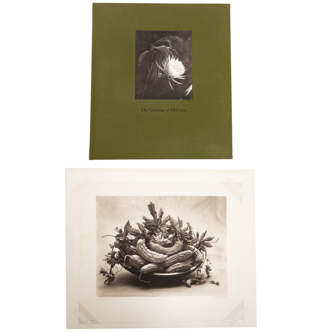 Cy DeCosse. "Bitter Melon," photograph: (American, b. 1929) Platinum palladium print, 1995, ed. 4/50, pencil signed "Cy DeCosse" lr, print size: 15 x 19 1/2 in., matte size: 24 x 28 in., unframed, together with the book, "The Gardens of DeC