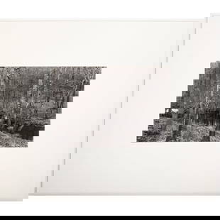 Paul Caponigro. Woods & Stream, photograph: (American, 1932-2024) Gelatin silver print, c. 1968, sight size: 9 1/2 x 13 1/2 in., matte size: 19 x 21 in., unframed From a private Baltimore collection