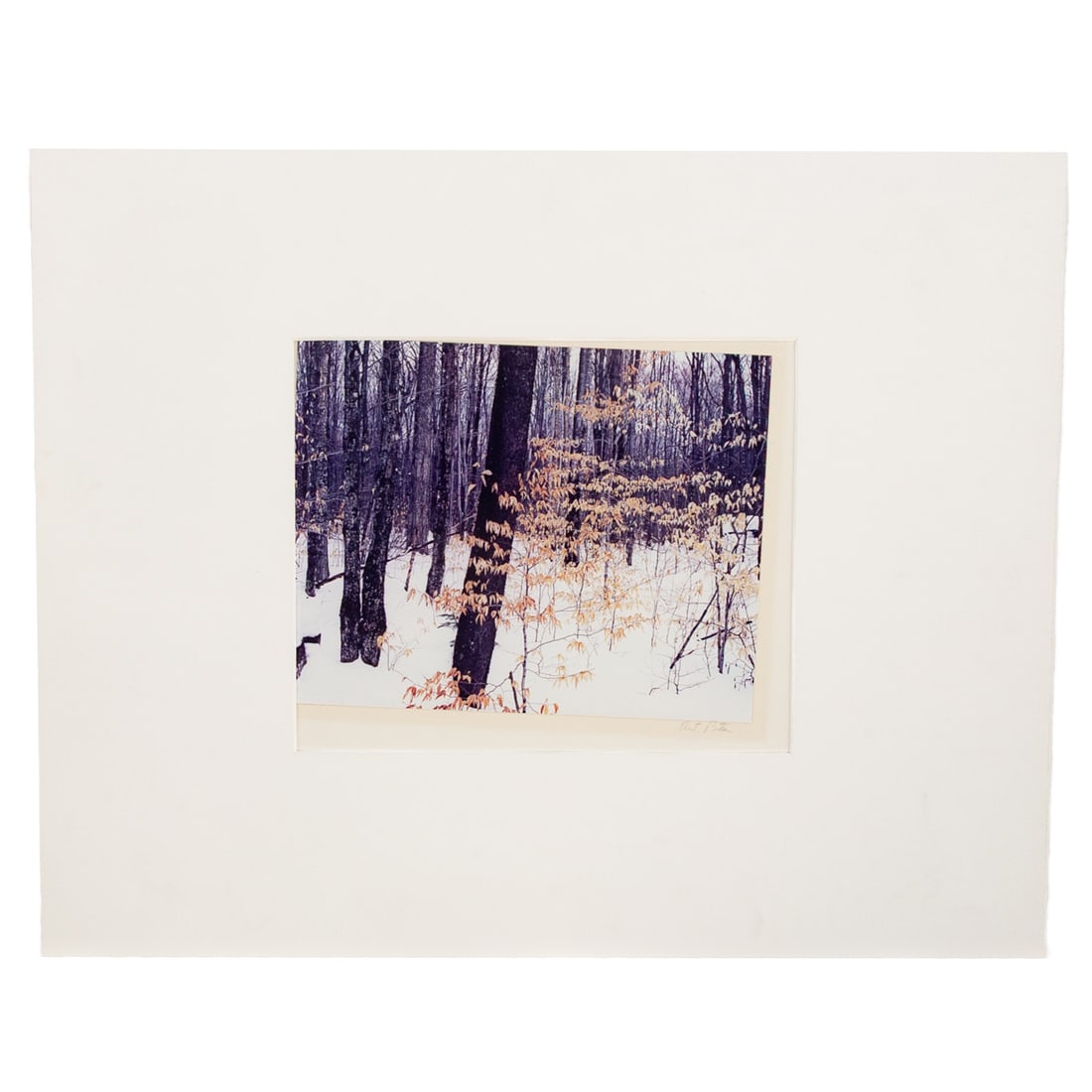 Eliot Furness Porter. Winter Snow Scene, photograph: (American, 1901-1990) Dye Transfer print, pencil signed "Eliot Porter" lr, print size: 8 x 10 in., matte size: 18 x 22 in., unframed From a private Baltimore collection
