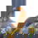 item-210631863=4