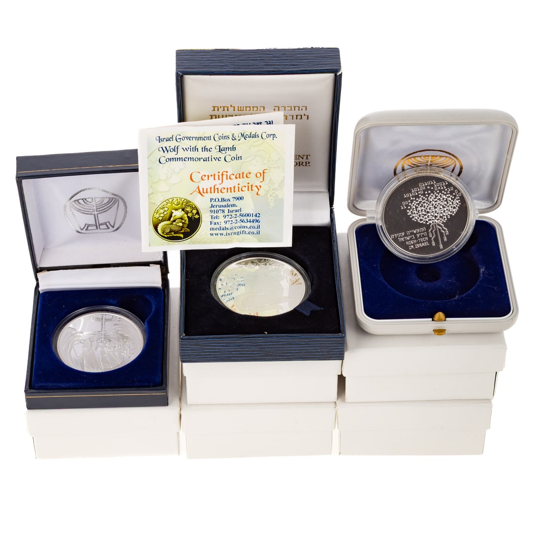 Eight Israeli Mint Sterling Silver Commemoratives (1 of 9)