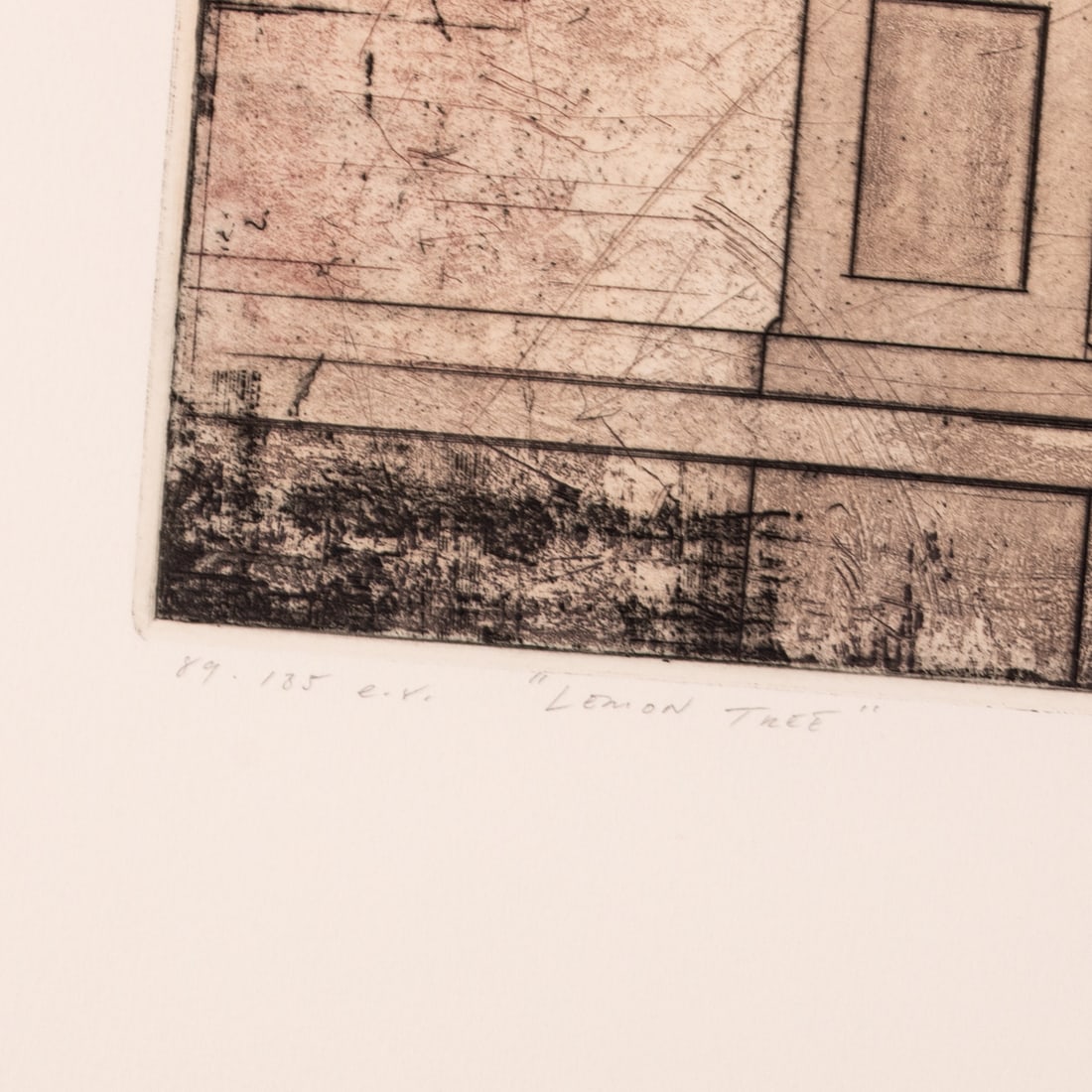 David Smith Harrison. "The Lemon Tree," etching - 4