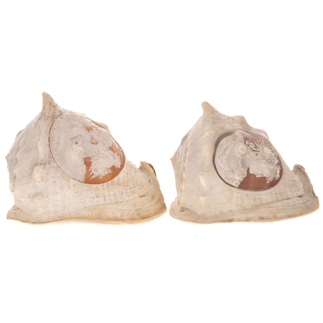 Two Italian Portrait Cameo Carved Conch Shells: 19th century, two allegorical figures in profile left and floral ornamented figure in profile right, size of tallest: 9 in. H, 7 in. W