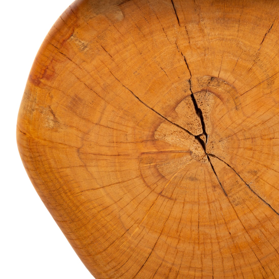 Two Live Edge Table Lamps - 4