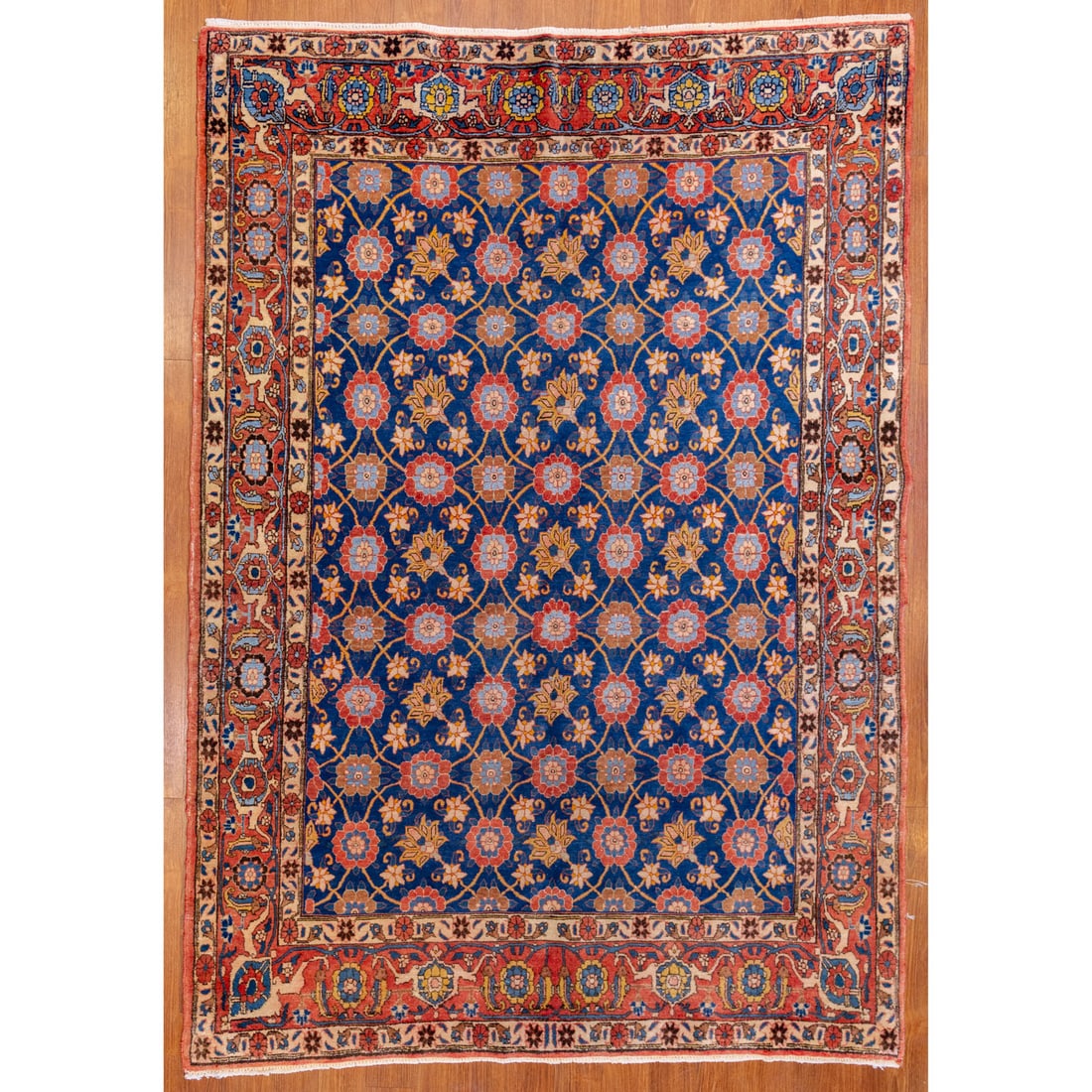 Semi-Antique Bakhtiari Rug, Persia, 4.11 x 6.11 (1 of 4)