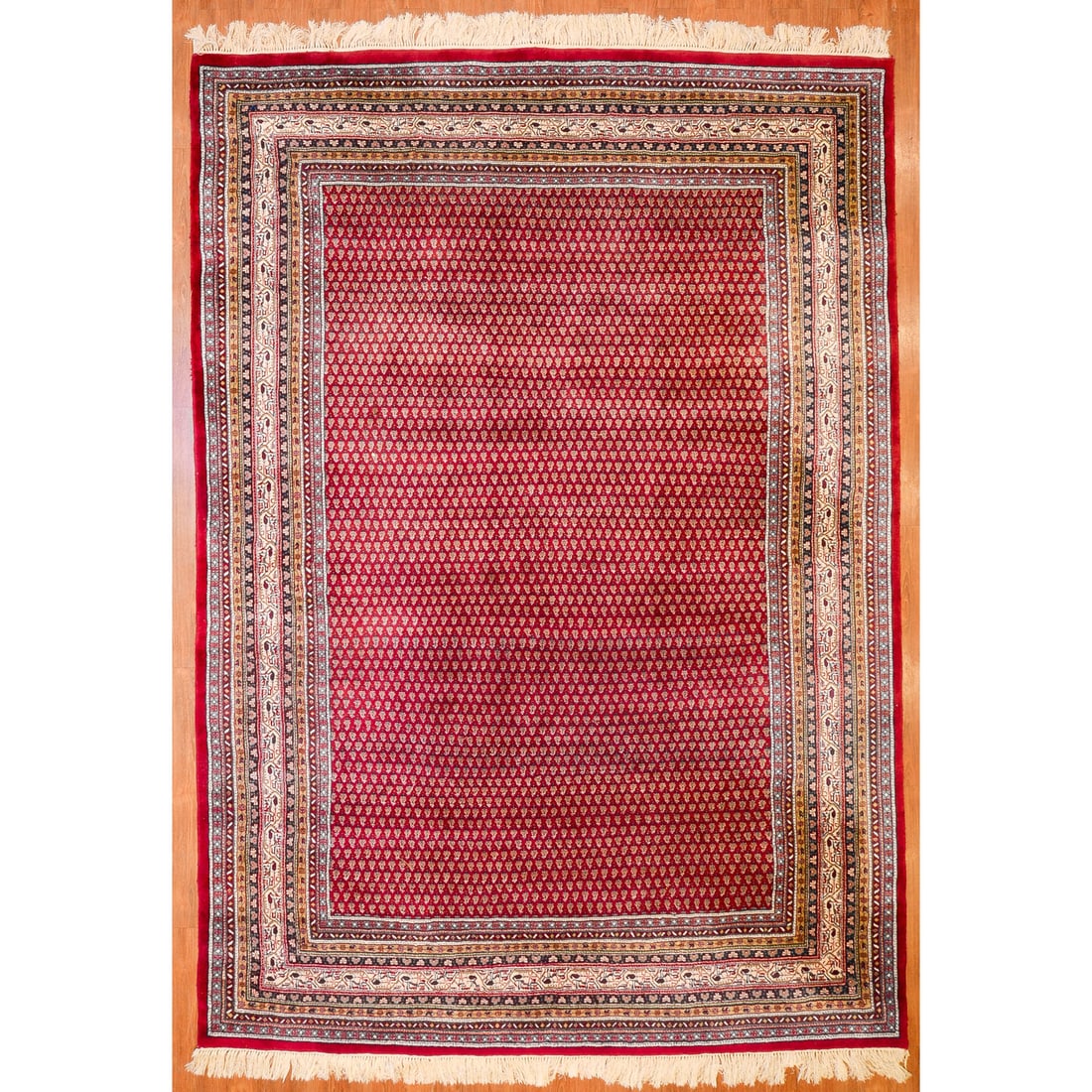 Indo Bijar Rug, India, 8.2 x 11.7 (1 of 3)