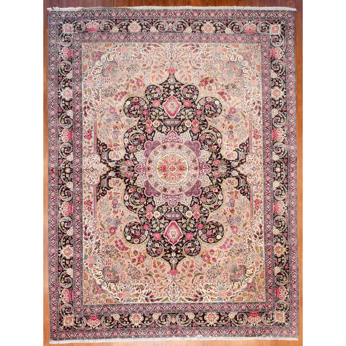 Pakistani Persian Rug, Pakistan, 8.6 x 11.3 (1 of 5)
