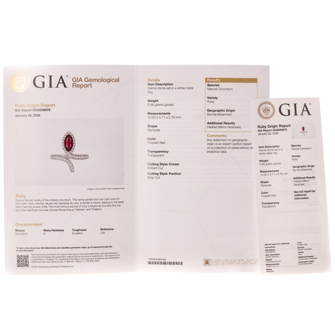 A GIA Burmese Ruby Snake Ring in Platinum - 7