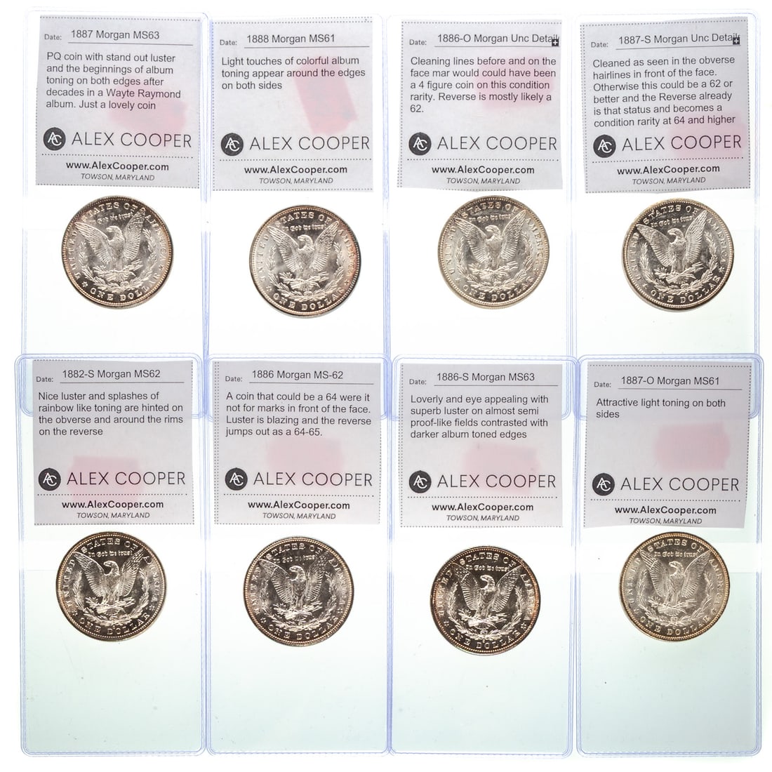 Eight Morgan Dollars From a Great Set - 2