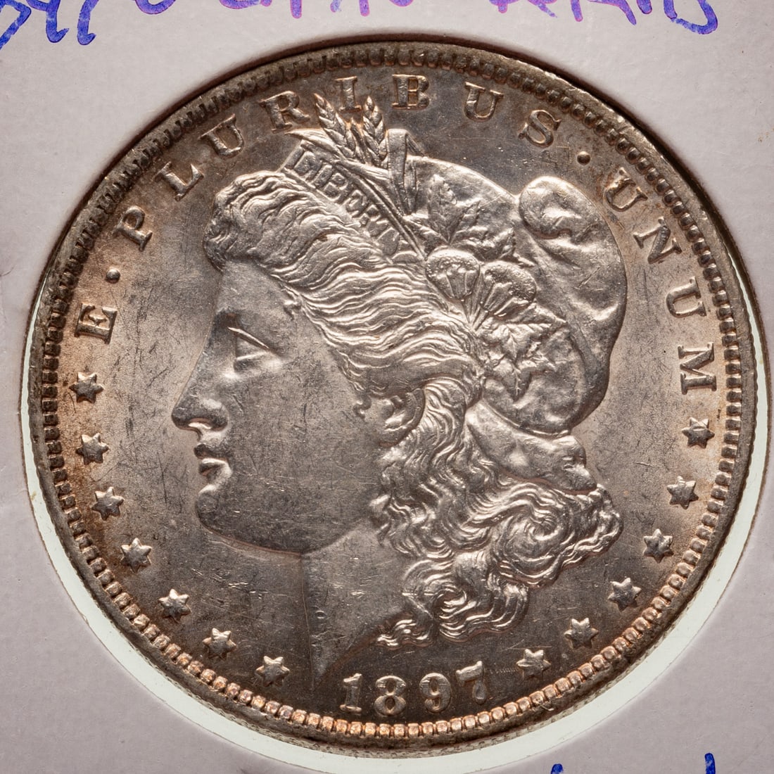 A Dozen Morgans from a Great Collection - 3