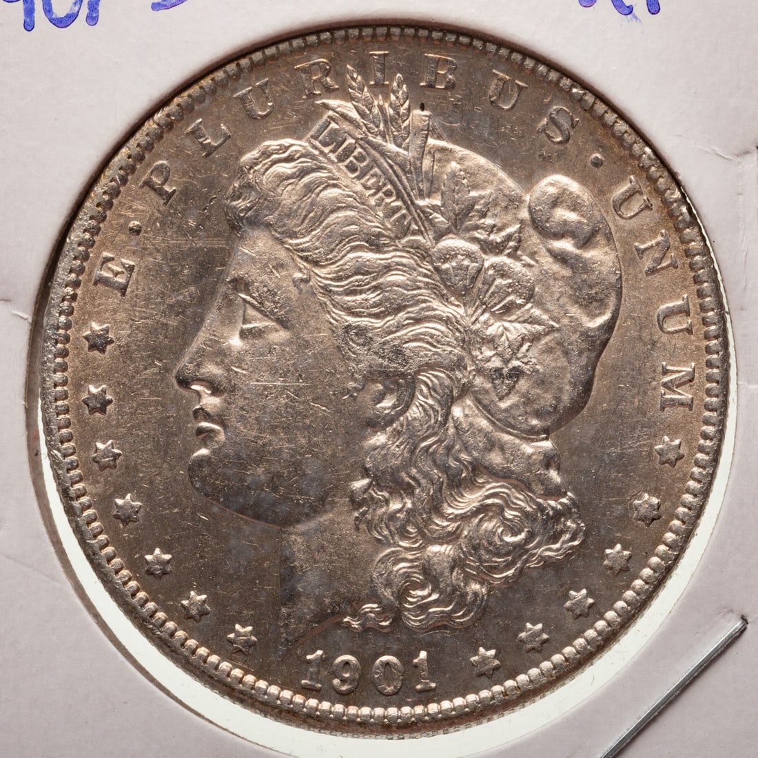 A Dozen Morgans from a Great Collection - 5