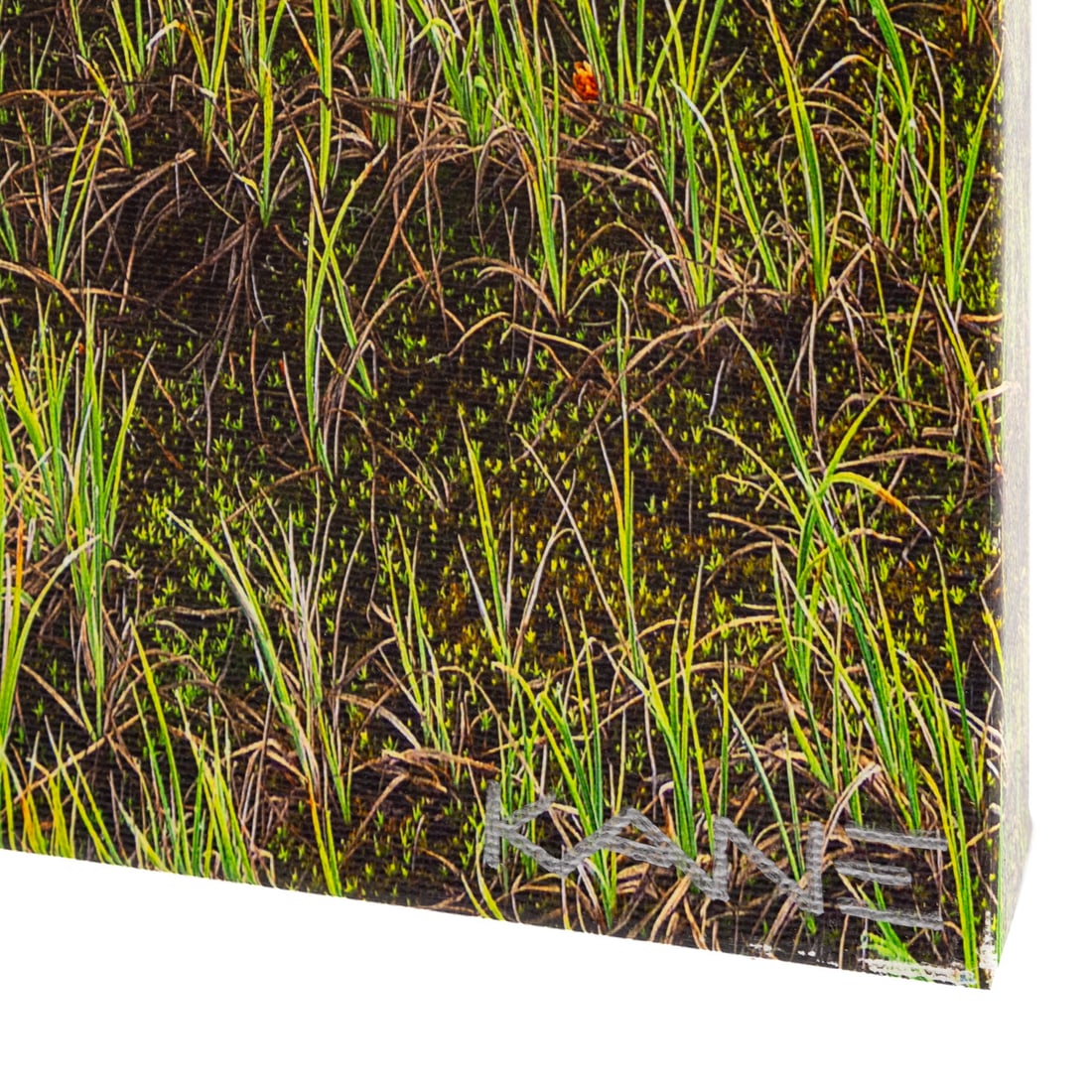 Kane Scheidegger. "Red Mirror," panoramic triptych - 3