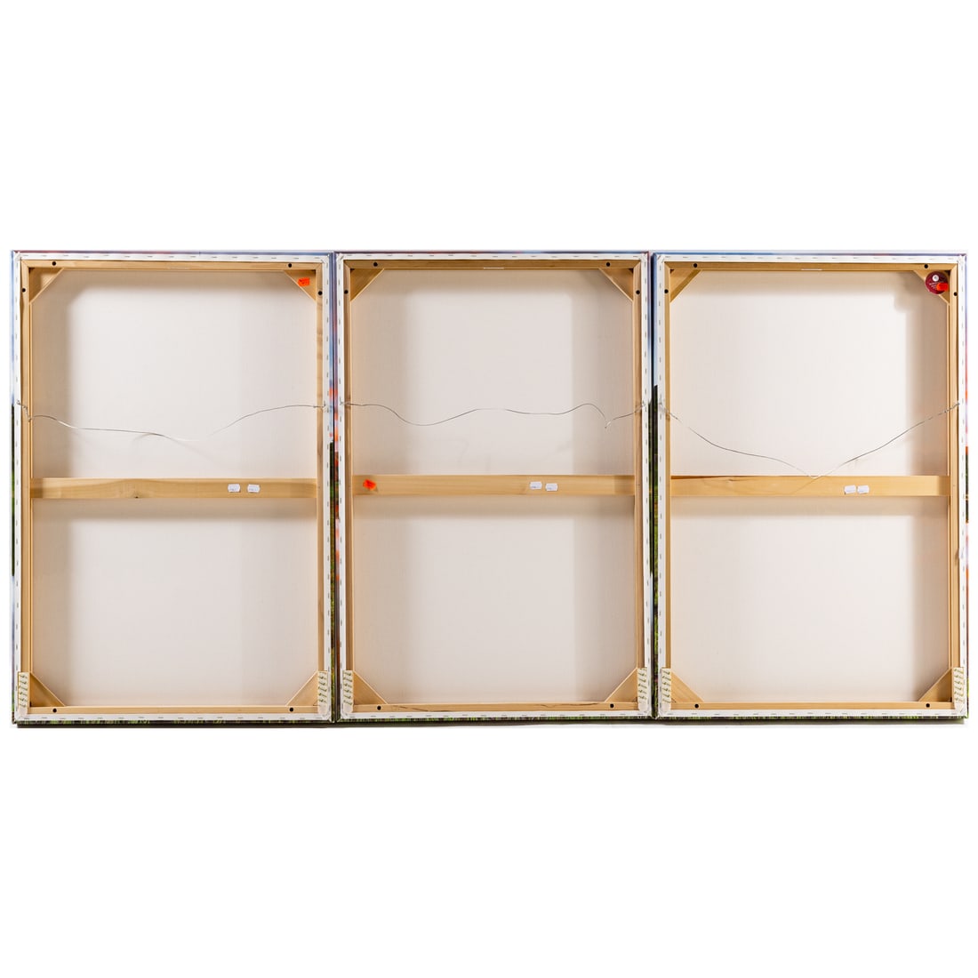 Kane Scheidegger. "Red Mirror," panoramic triptych - 4