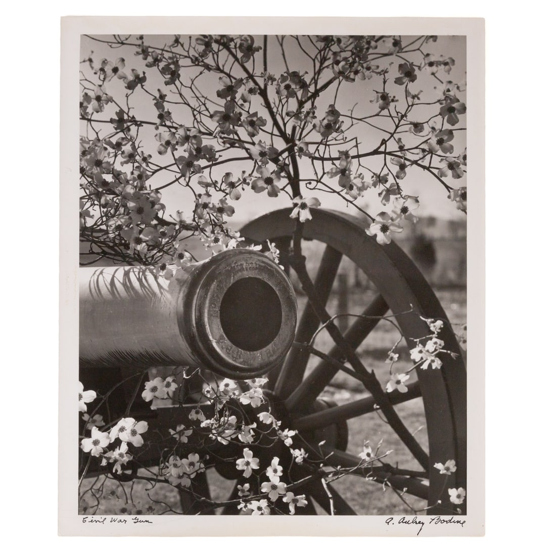 A. Aubrey Bodine."Civil War Gun," photograph: (American, 1906-1970) Gelatin silver print, signed "A. Aubrey Bodine," titled ll, photographer stamps on verso, 14 x 11 in., unframed Provenance: From a private Maryland collection