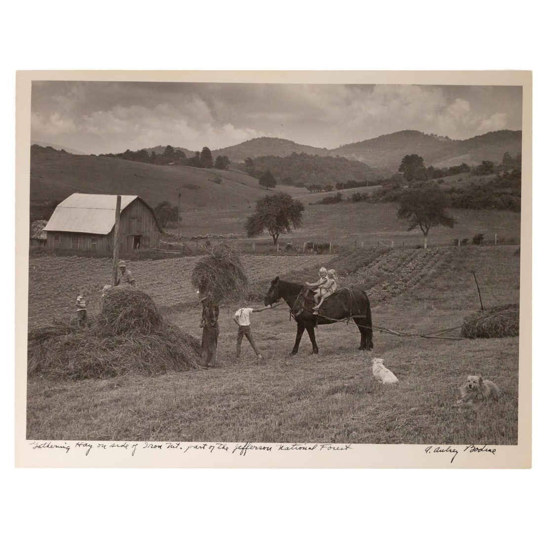 A. Aubrey Bodine. "Gathering Hay on Side of Iron Mt, Part of the Jefferson National Forest,": (American, 1906-1970) Gelatin silver print, signed "A. Aubrey Bodine" lr, photographer stamps on verso, 10 3/4 x 13 3/4 in., unframed Provenance: From a private Maryland collection