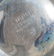 Group of silver mounted glass table articles - 4