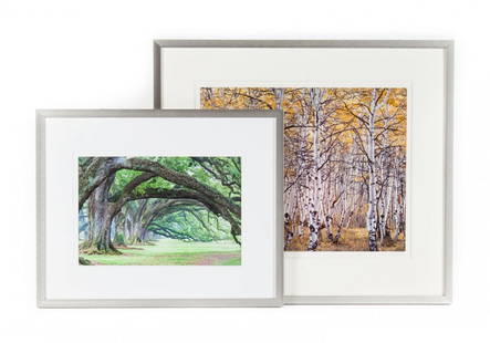 Two framed landscape photographs, 20th century: 1.) Christopher Burkett (American, b.1951), "Black Mountain Aspen Forest, Utah", signed "Christopher Burkett lr, 20 x 24 in., 2.) Artist Unknown, "Oak Alley", unsigned, 12 x 18 in.