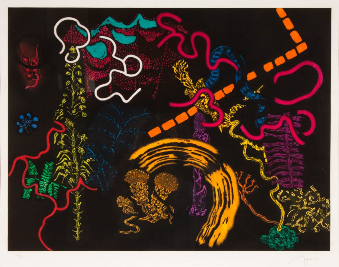 Nancy Graves. "Antifolgie," etching and aquatint: Nancy Stevenson Graves (American, 1940-1995). Embossed etching and aquatint, ed. 14/36, signed and dated "Graves, '87" lr, 23 1/4 x 31 in., framed