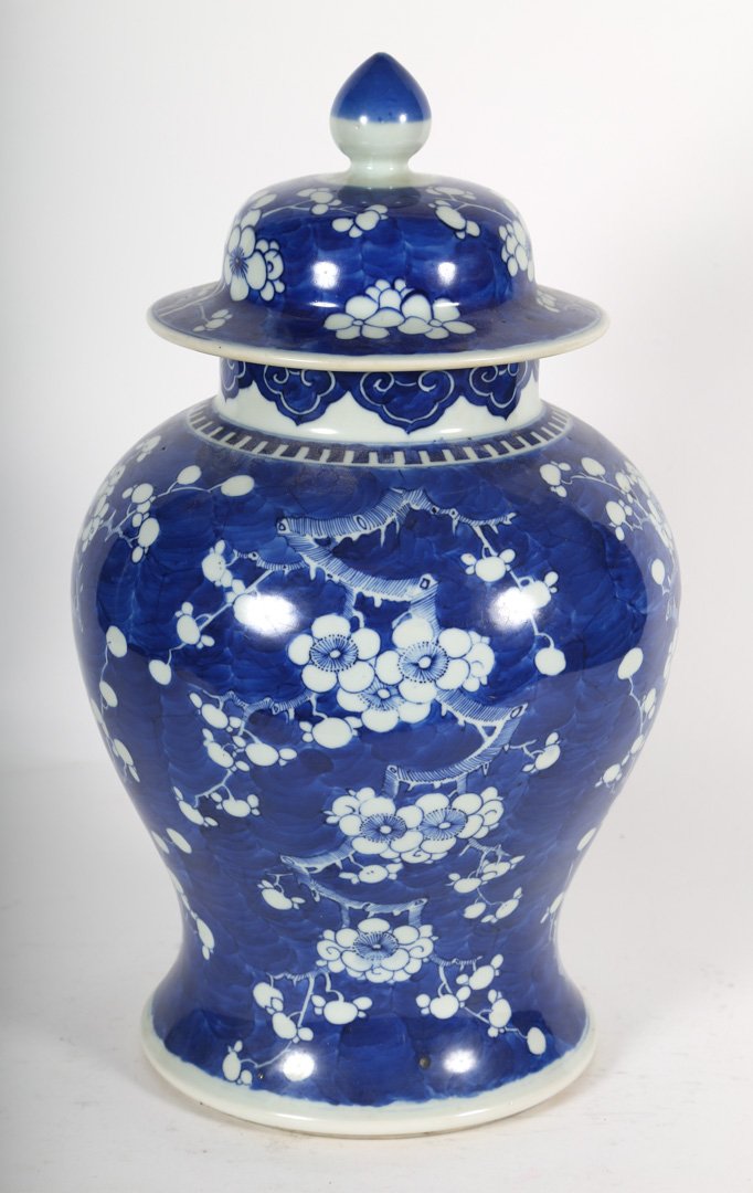 Chinese Export porcelain "Hawthorne" jar (1 of 3)